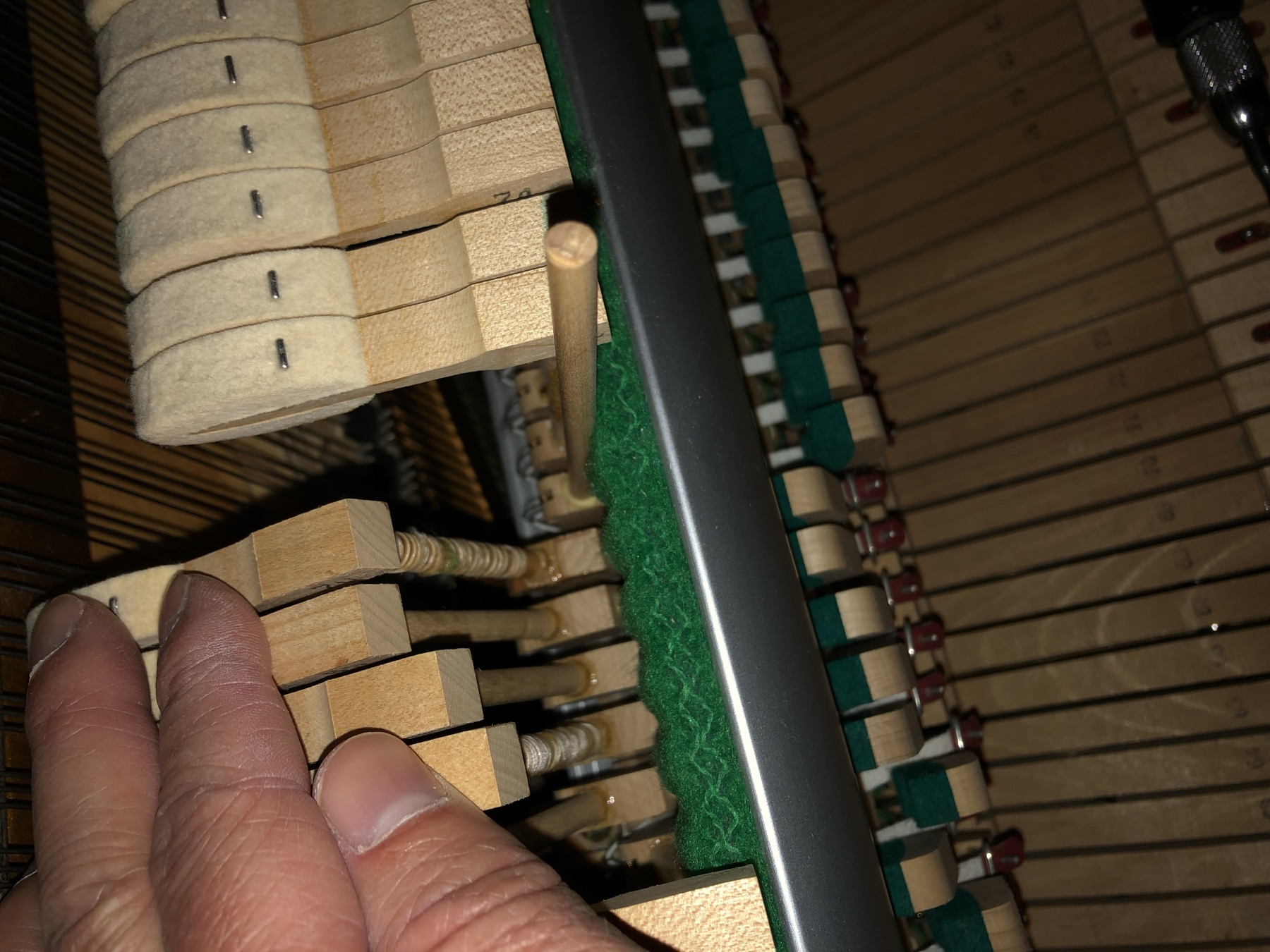 Piano action and keys viewed from inside the instrument