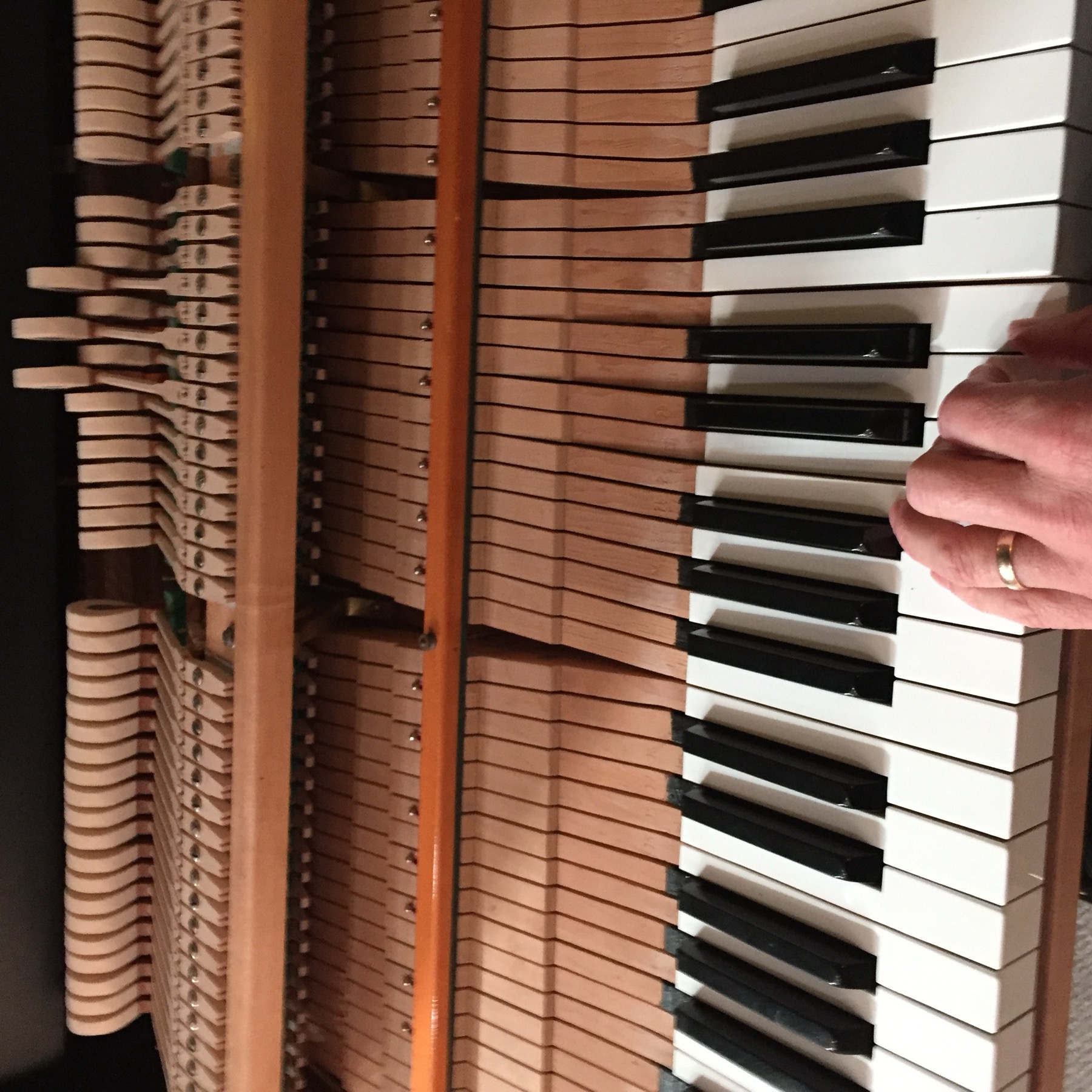 Close-up of upright piano action rail and parts